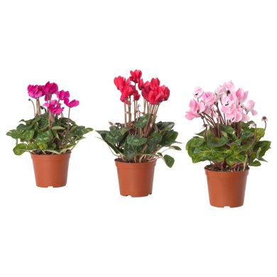 IKEA CYCLAMEN (ИКЕА CYCLAMEN) 80592376